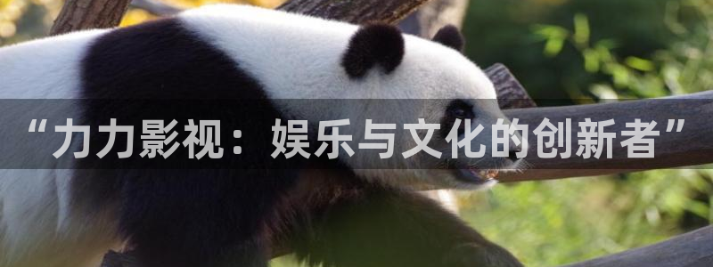 yy4686青苹果影院