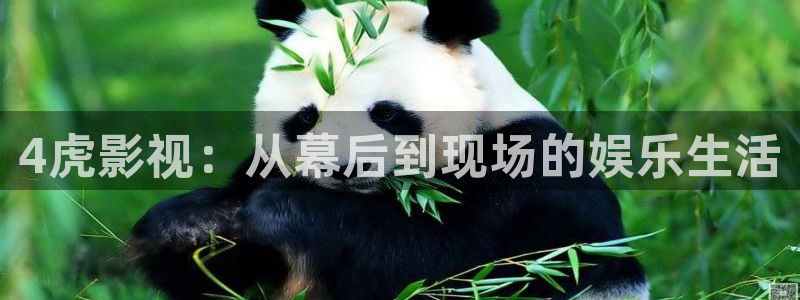 yy青苹果影院在线观看